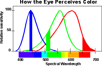 Как человеческий глаз видит цвета