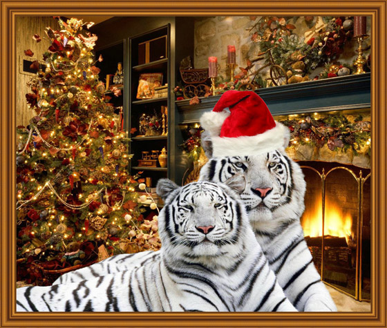 Изображение новогодних тигров в рамке