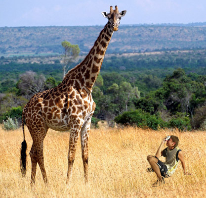 Colagem de foto: girafa e um caçador de foto