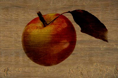 コラージュ: 木版にプリントされたりんご