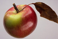 La fotografia di una succosa mela