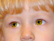 Цвет глаз желтый