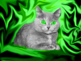 the cat against a green background
