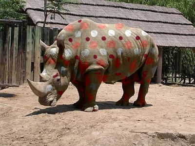 Result: rhino picture