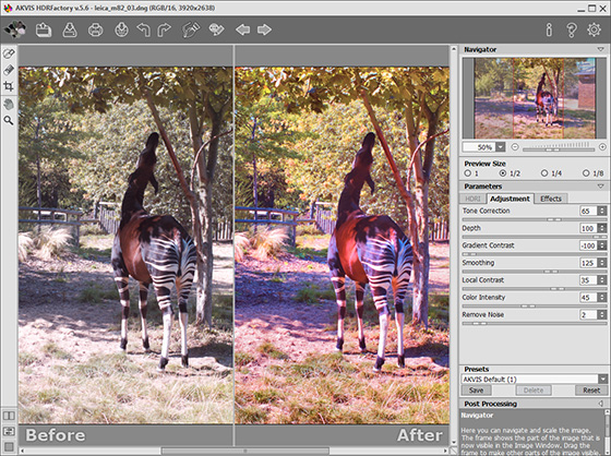 Processing the Image in the Adjustment Tab
