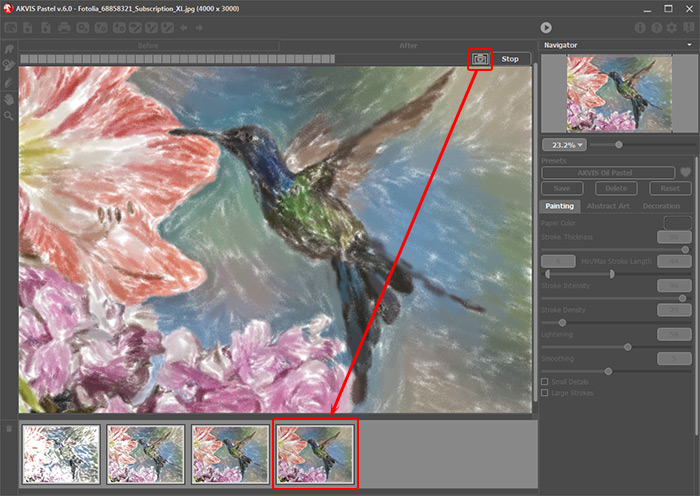 Image Processing in AKVIS Pastel