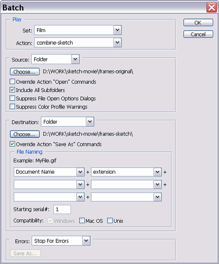 Batch window with the settings