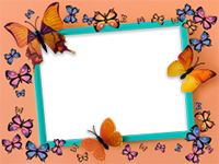 Marcos: Paquete de mariposas
