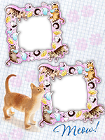 Frames: Cats Pack
