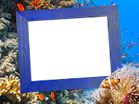Frames: Sea Pack