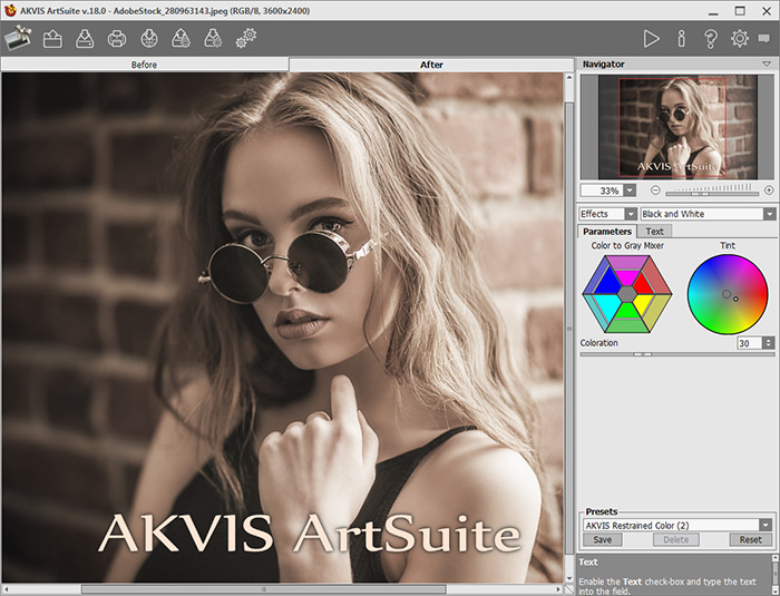 AKVIS ArtSuite 18.0